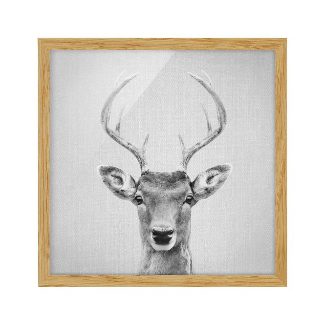 Framed poster - Deer Heinrich Black And White