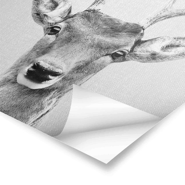 Poster art print - Deer Heinrich Black And White