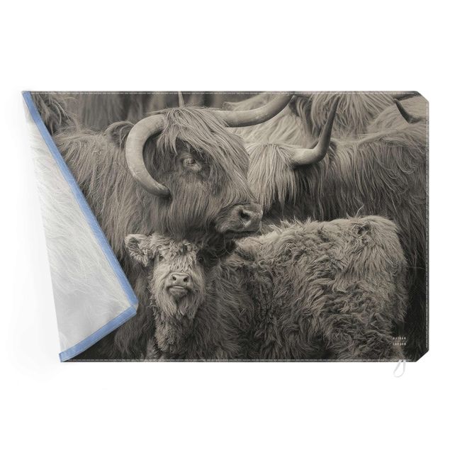 Print with acoustic tension frame system - Highland cattle family