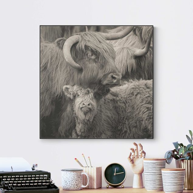 Interchangeable print - Highland cattle family