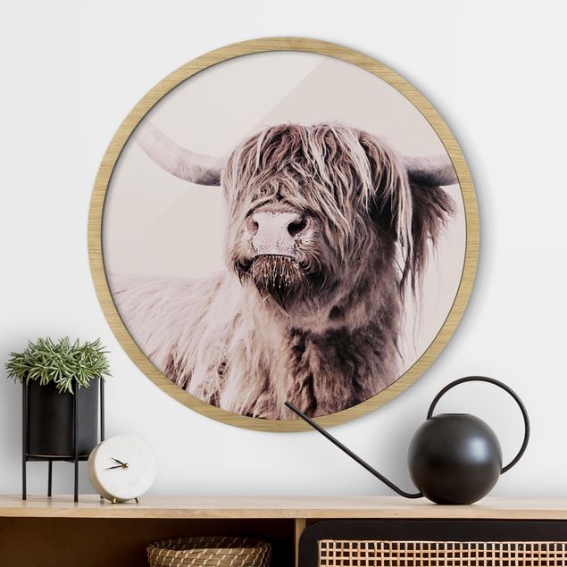 Framed prints round Highland Cattle Frida In Beige