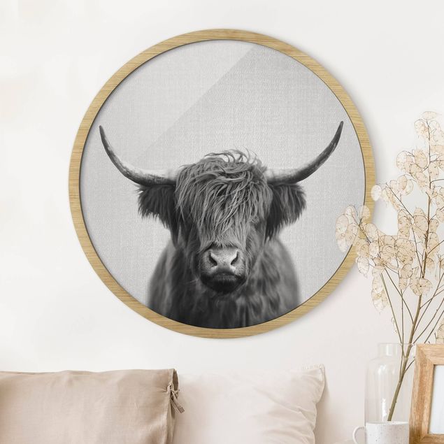Framed prints round Highland Cow Harry Black And White