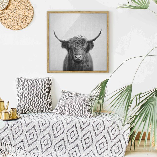 Framed poster - Highland Cow Harry Black And White