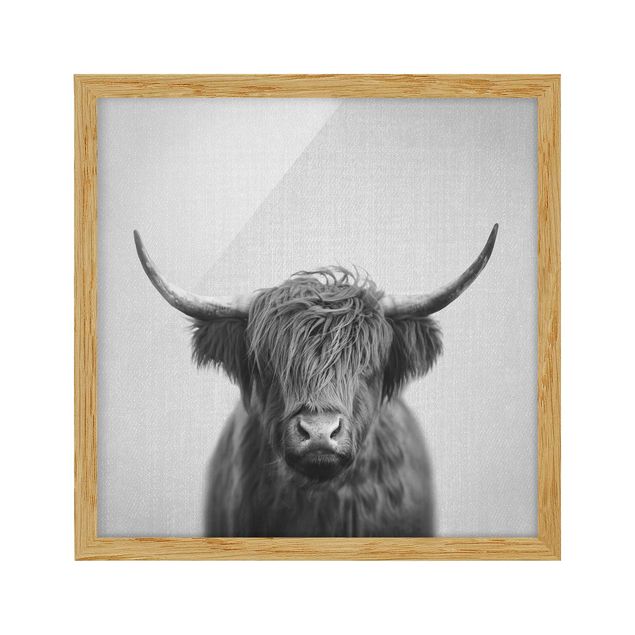 Framed poster - Highland Cow Harry Black And White