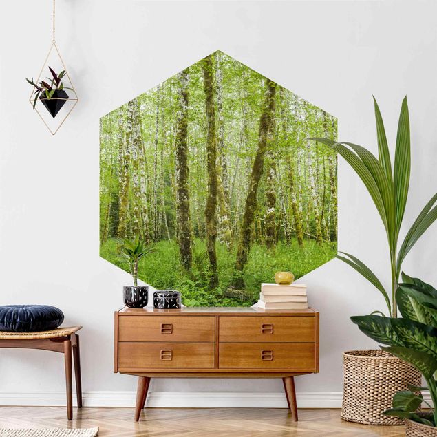 Self-adhesive hexagonal pattern wallpaper - Hoh Rainforest Olympic National Park