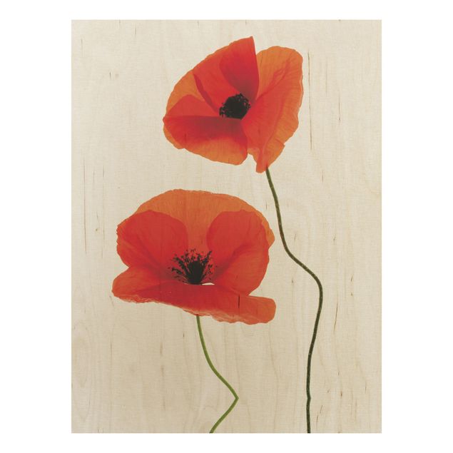 Wood print - Charming Poppies