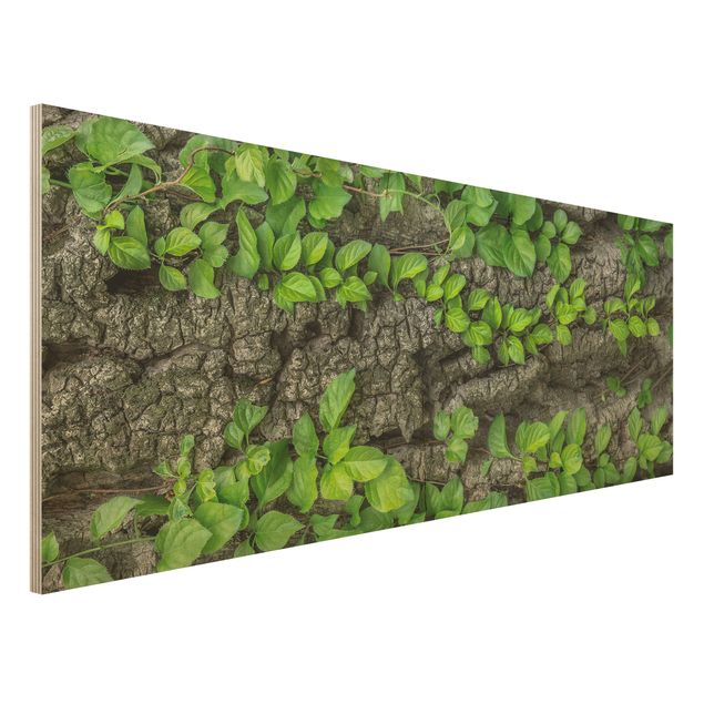 Wood print - Ivy Tendrils Tree Bark