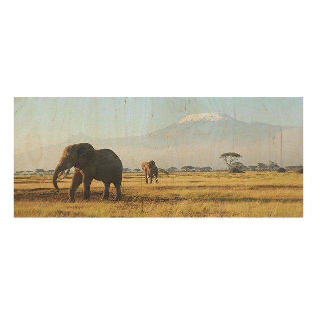 Wood print - Elephants In Front Of The Kilimanjaro In Kenya