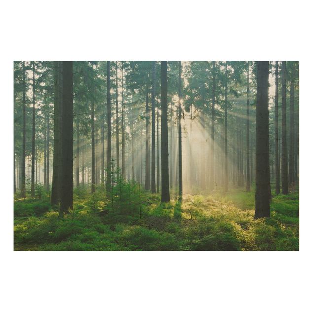 Wood print - Enlightened Forest