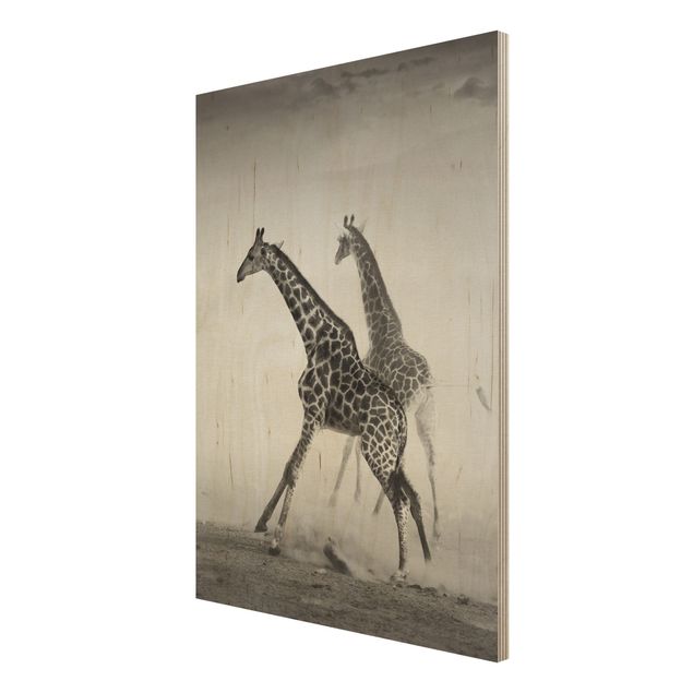 Wood print - Giraffe Hunt