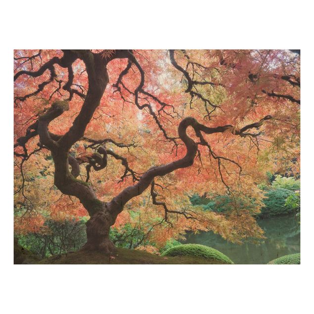 Wood print - Japanese Garden