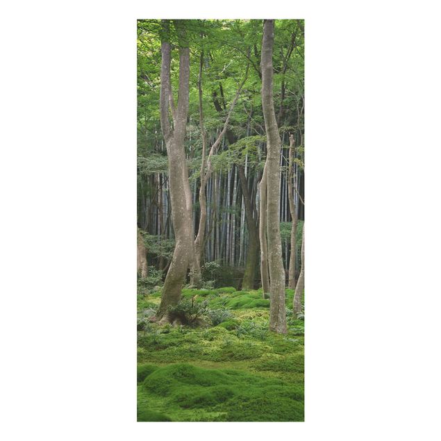 Wood print - Japanese Forest