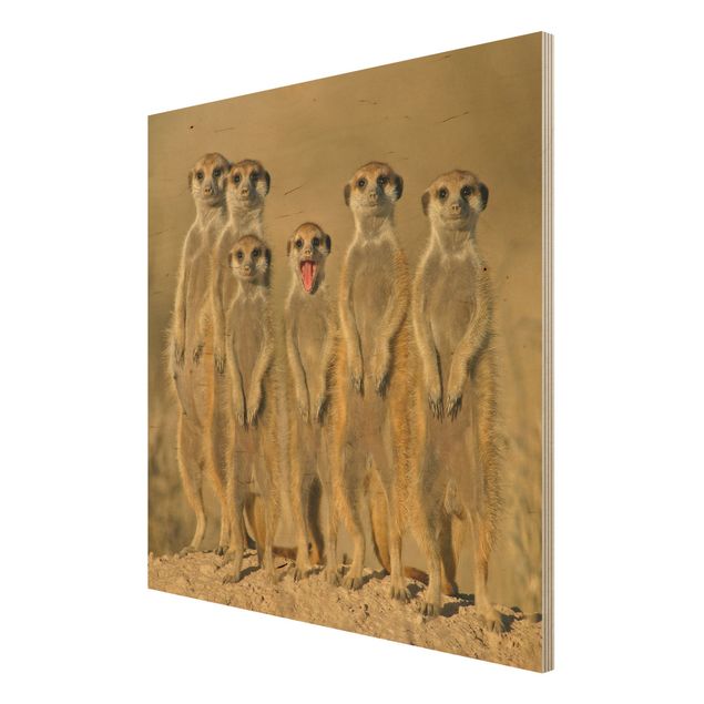 Wood print - Meerkat Family