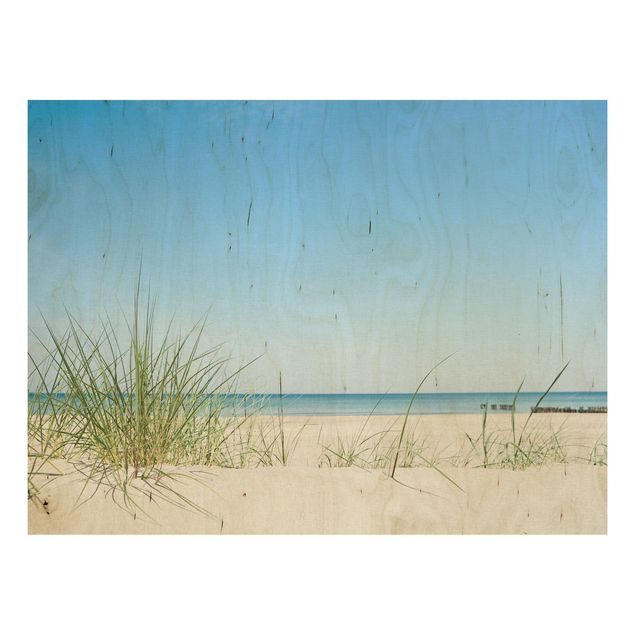 Wood print - Baltic Sea Coast