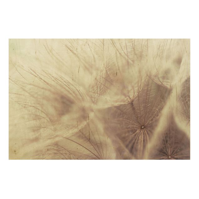 Wood print - Detailed Dandelion Macro Shot With Vintage Blur Effect