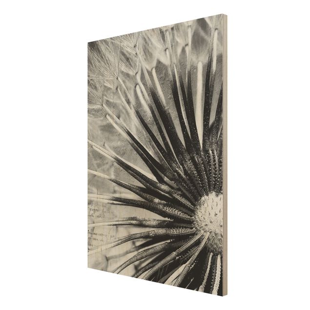 Wood print - Dandelion Black & White