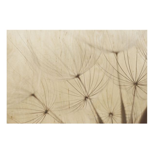 Wood print - Gentle Grasses