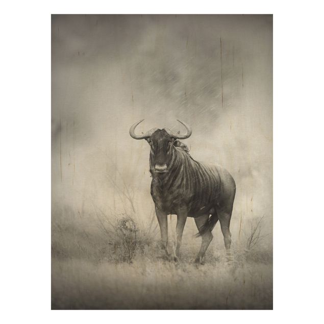 Wood print - Staring Wildebeest