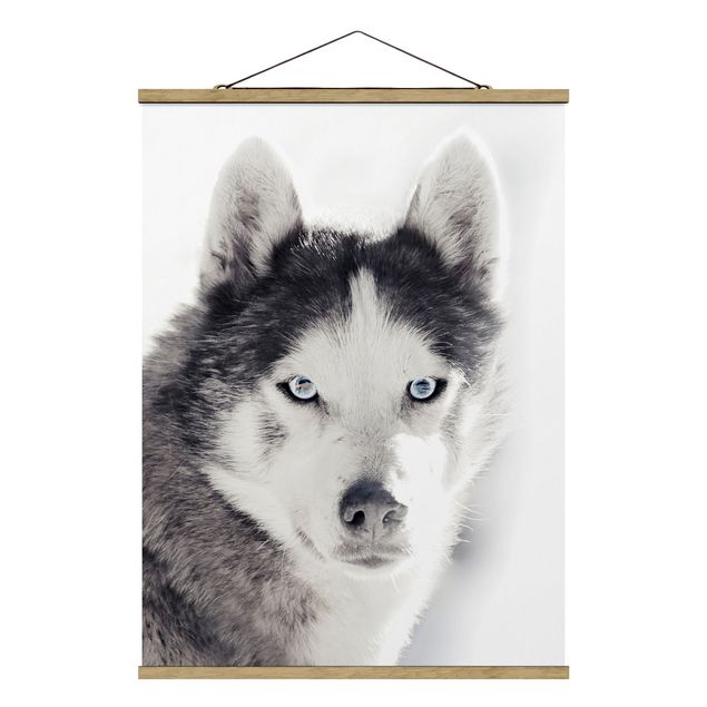 Fabric print with poster hangers - Husky Portrait - Portrait format 3:4