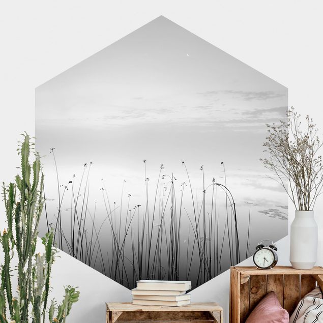 Self-adhesive hexagonal wall mural Idyllic Lakeside In Black And White
