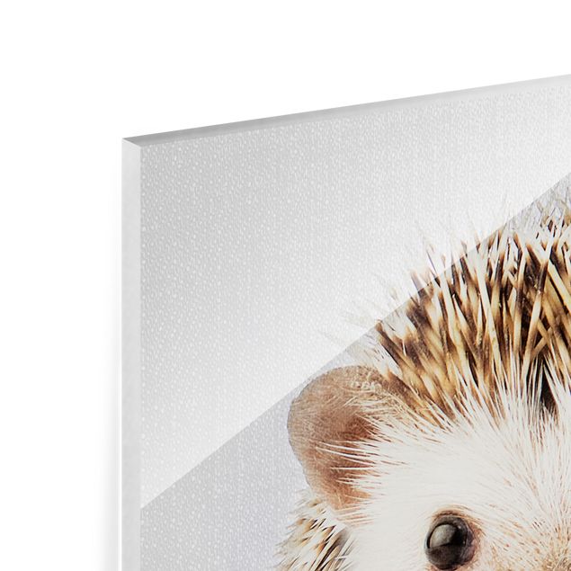 Glass print - Hedgehog Ingolf