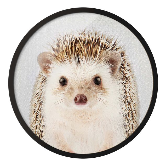 Circular framed print - Hedgehog Ingolf