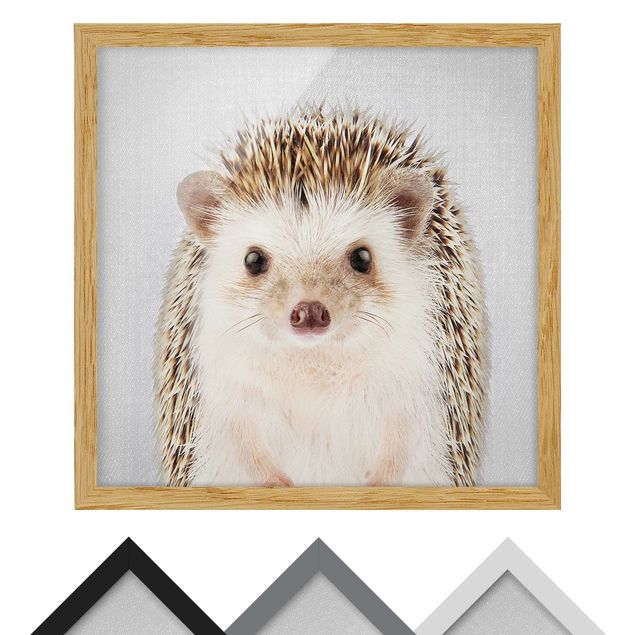 Framed poster - Hedgehog Ingolf