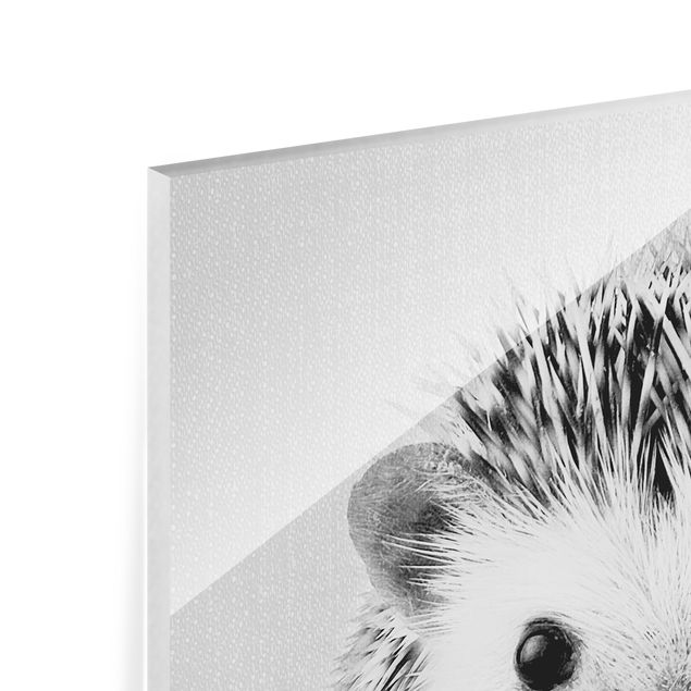 Glass print - Hedgehog Ingolf Black And White
