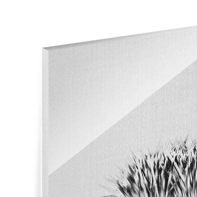 Glass print - Hedgehog Ingolf Black And White