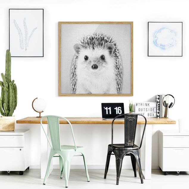 Framed poster - Hedgehog Ingolf Black And White