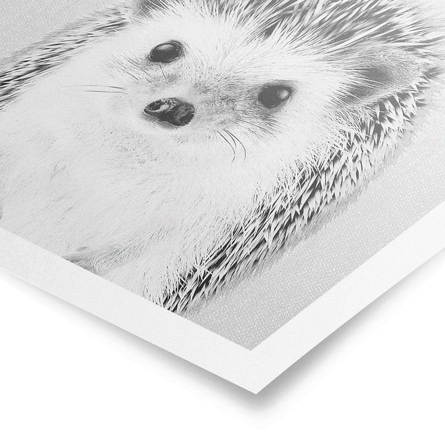 Poster art print - Hedgehog Ingolf Black And White