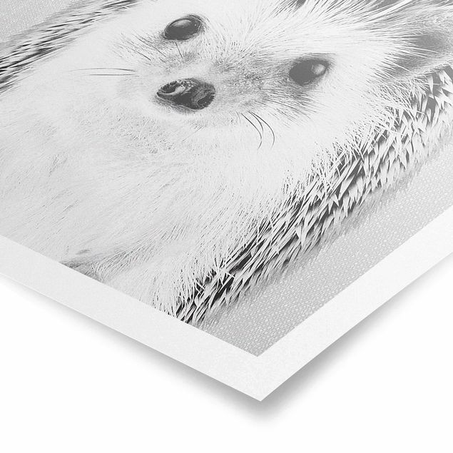 Poster art print - Hedgehog Ingolf Black And White