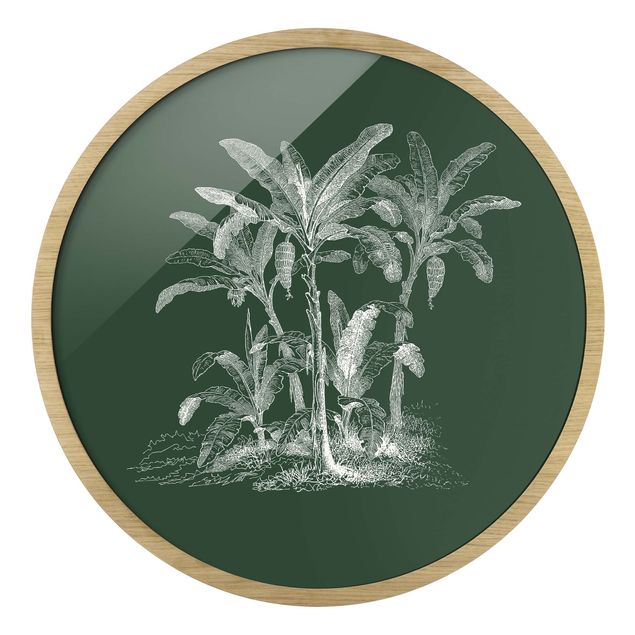 Circular framed print - Illustration Banana Trees On Green