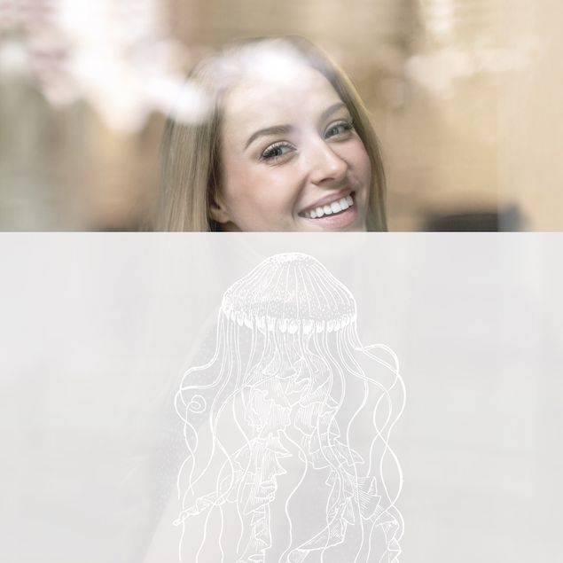 Window film - Illustration Jellyfish