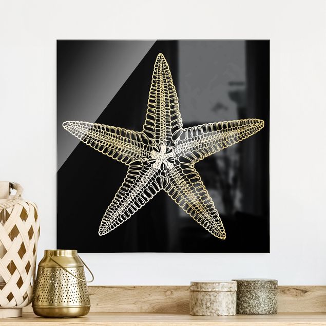 Glas Magnetboard Illustration Starfish On Black