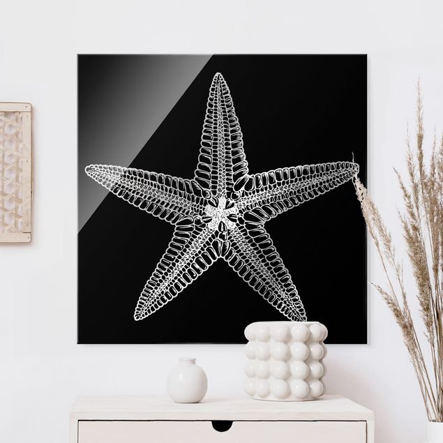 Glas Magnetboard Illustration Starfish On Black