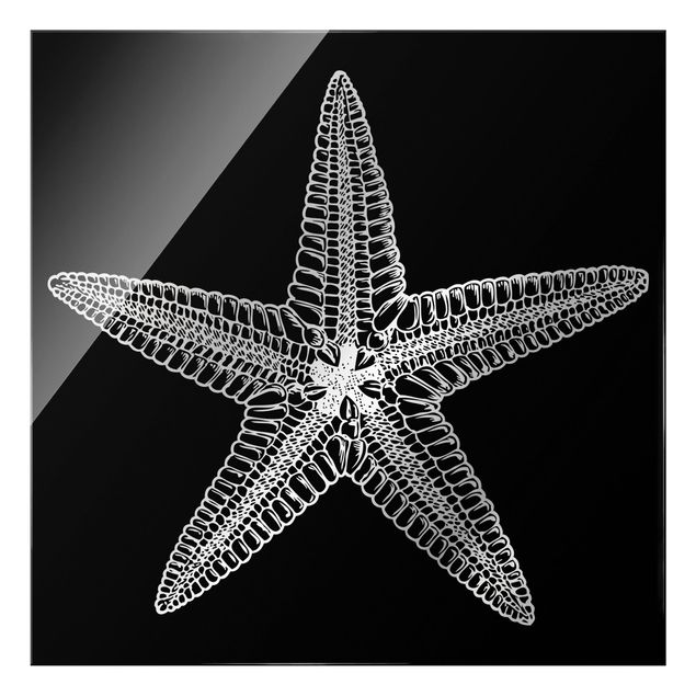 Glass print - Illustration Starfish On Black - Square