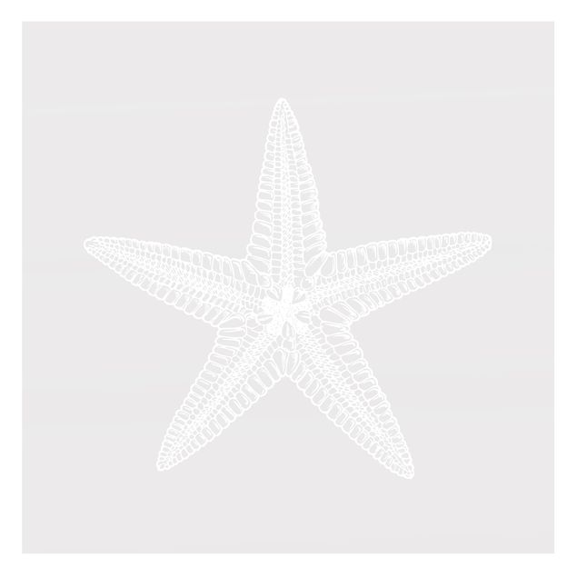 Window film - Illustration Starfish