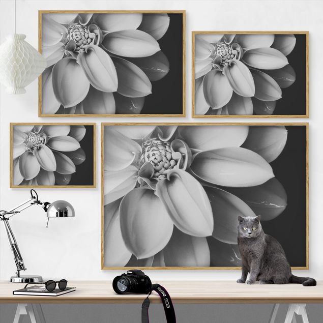 Framed poster - In The Heart Of A Dahlia Black And White