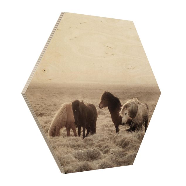 Wooden hexagon - Wild Icelandic Horse