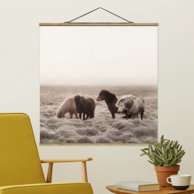 Fabric print with poster hangers - Wild Icelandic Horse - Square 1:1