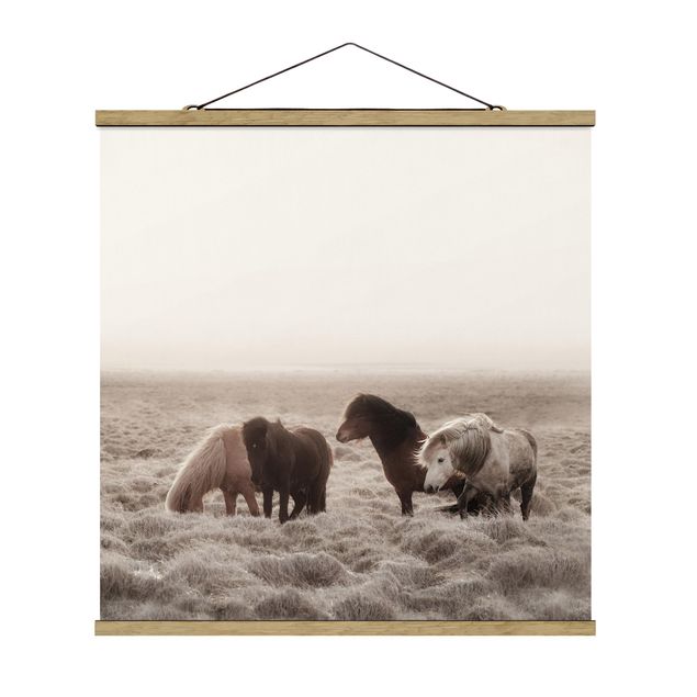 Fabric print with poster hangers - Wild Icelandic Horse - Square 1:1