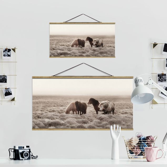 Fabric print with poster hangers - Wild Icelandic Horse - Landscape format 2:1