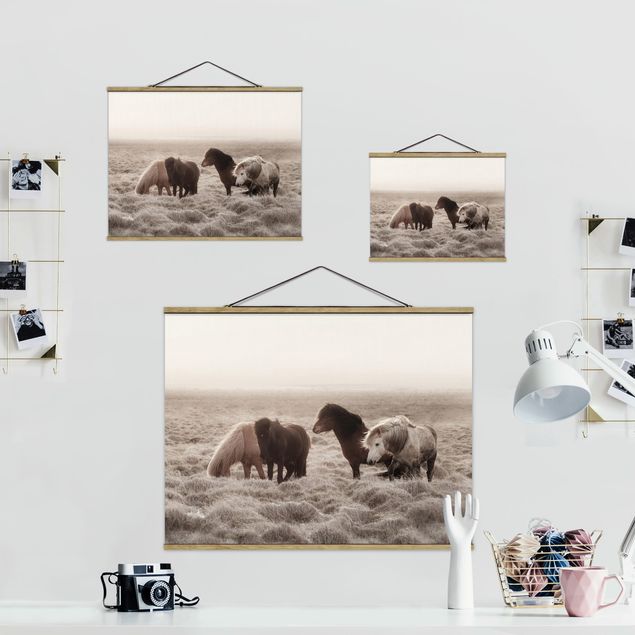 Fabric print with poster hangers - Wild Icelandic Horse - Landscape format 4:3
