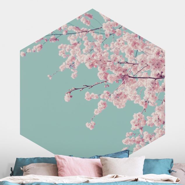 Hexagonal wall mural Japanese Cherry Blossoms