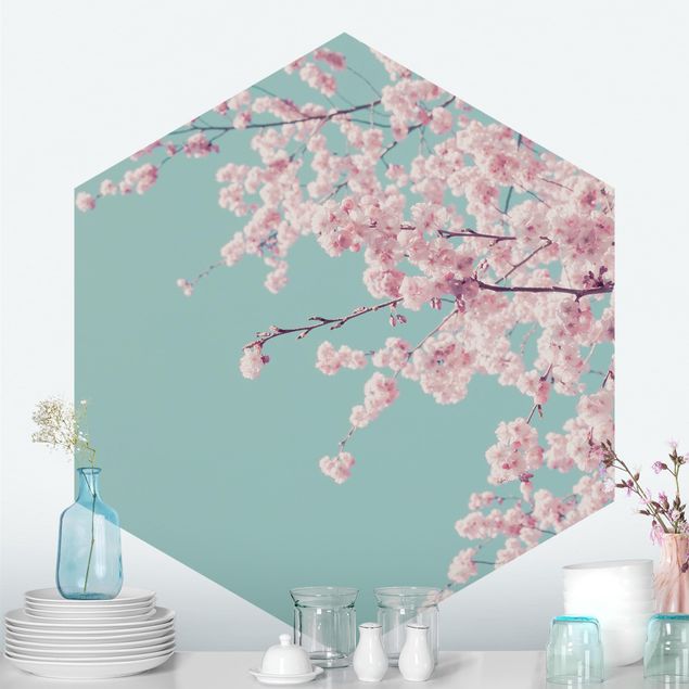 Wallpapers Japanese Cherry Blossoms