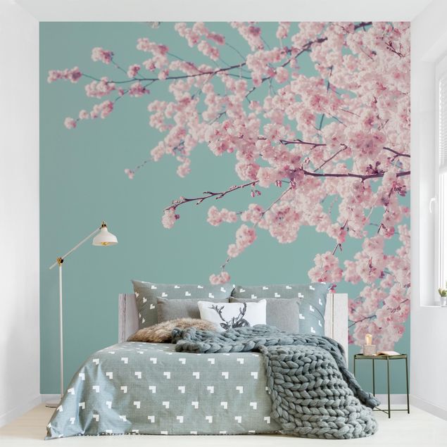 Walpaper - Japanese Cherry Blossoms