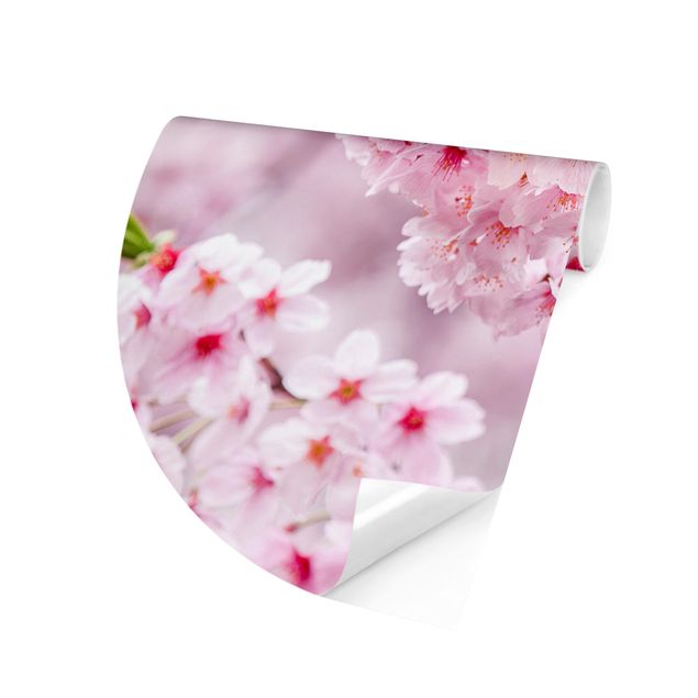 Self-adhesive round wallpaper - Japanese Cherry Blossoms