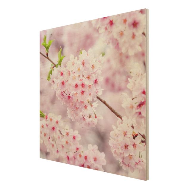 Wood print - Japanese Cherry Blossoms