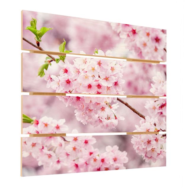 Print on wood - Japanese Cherry Blossoms